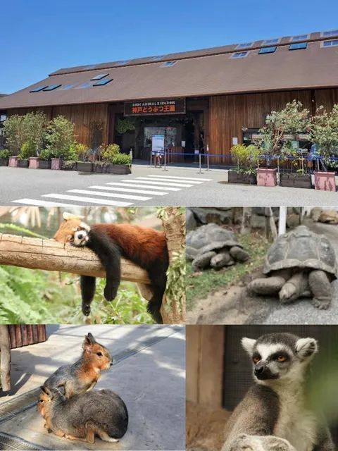 Kobe Travel Guide (1) 🌊