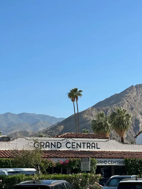 🌵 A Letter from Palm Springs 💌
