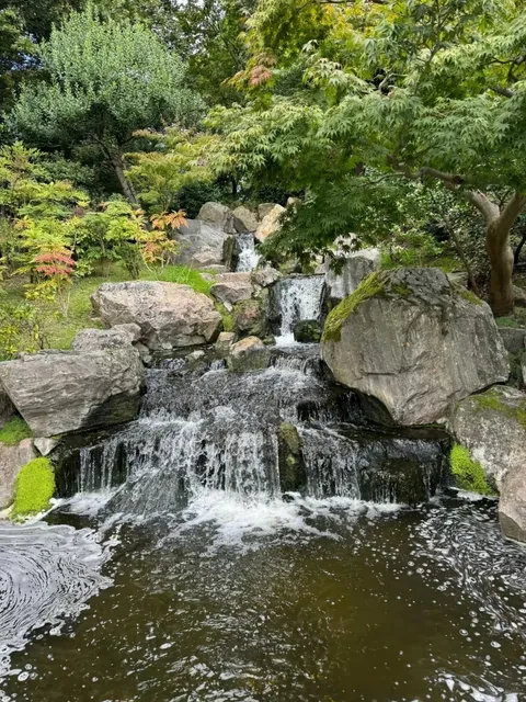 ✨ A Hidden "Little Kyoto" in London! 🌸