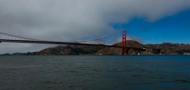 An Amazing Experience with SF Whale Tours! 🐋✨