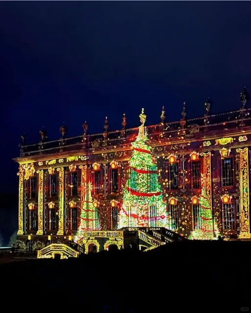 🎅 Darcy Manor is the Christmas Spot to Be!