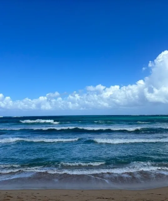 Beach in the Condado Hotel Zone: Condado Beach