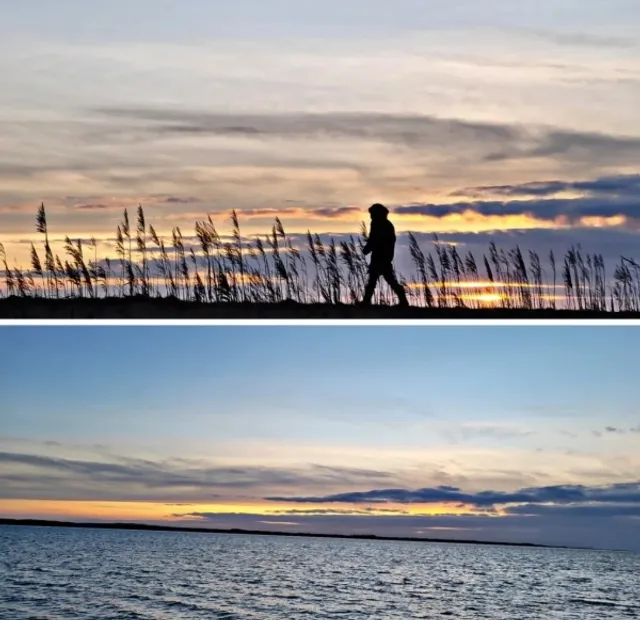 Aalborg Attraction - Egholm Island Adventure 🚗