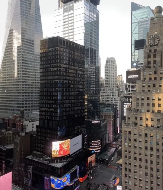 New York Manhattan Island Hotels (1)🌃