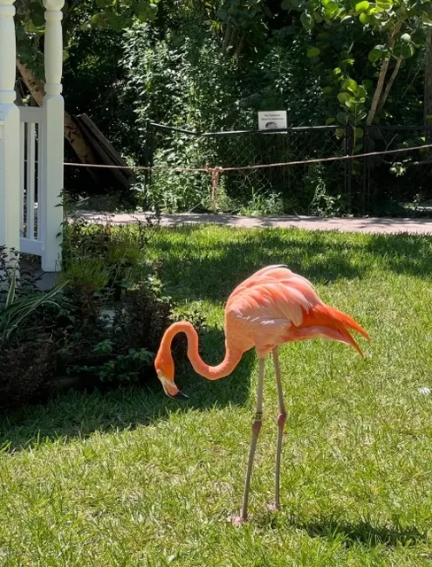 A Quiet Stay in North Tampa!