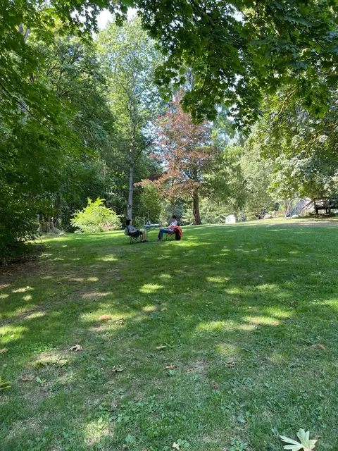 🌲 [Slow Living Among the Redwoods] 🌿