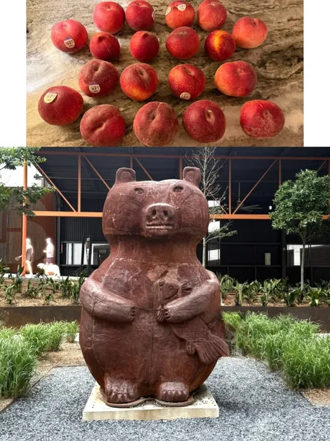 Southern USA Travels | Atlanta Diary (Part 2) 🍑✨