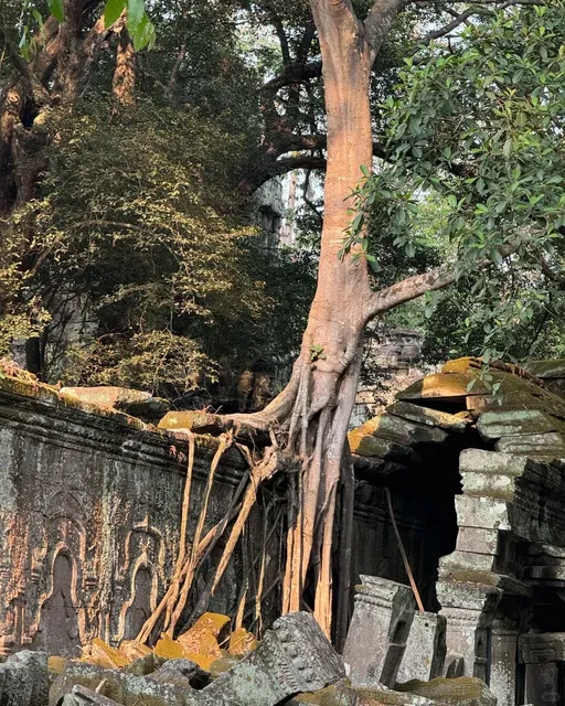 🇰🇭 Cambodia | Angkor Wat 3D2N Solo Trip for Just 750 RMB!