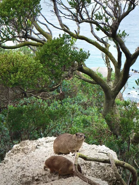 Double Coastal Route + Kruger Safari