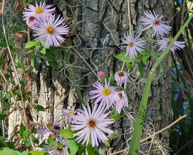 We've Had Many Wonderful Moments Here!