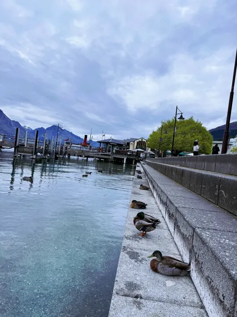 🇳🇿 Queenstown: 3 Days That Haunt Me for 3 Years! ✨