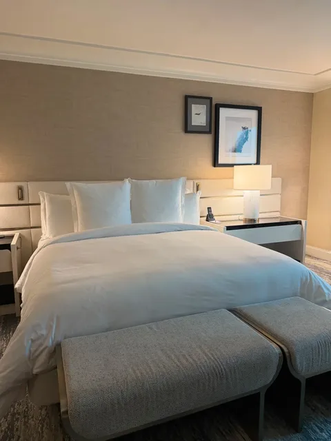 Las Vegas Pet-Friendly Hotels with No Dog Fees 🐶