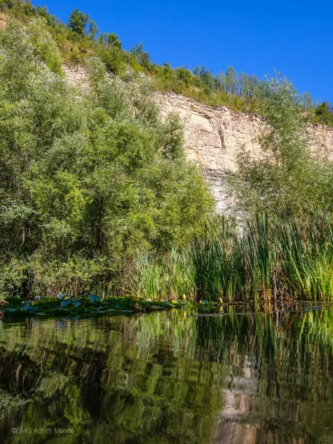 ❄️ Winter Walk Wonderland: Remseck am Neckar