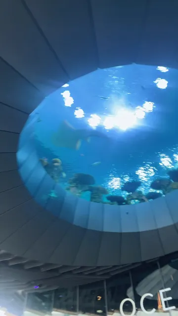 Seattle | Seattle Aquarium  🏟😆