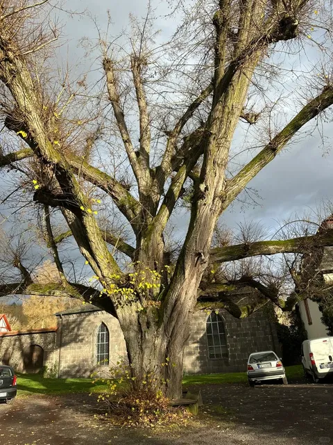 Gießen   A Journey Through 800 Years of History