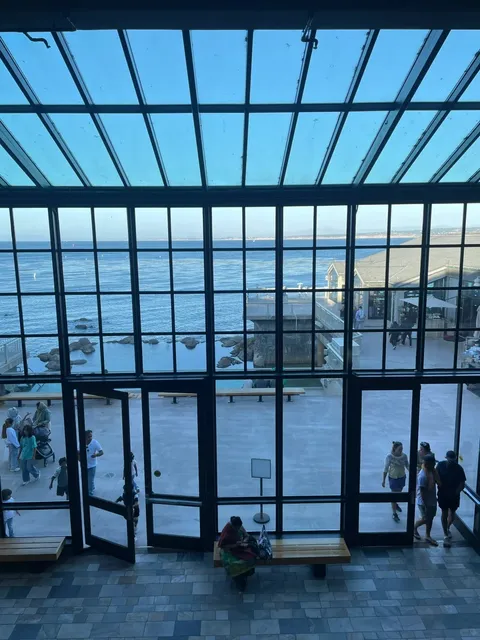 🇺🇸 Carmel/Monterey Long Weekend Day Trip