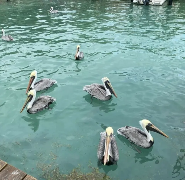 A Wonderful Holiday Trip in Miami 🌷