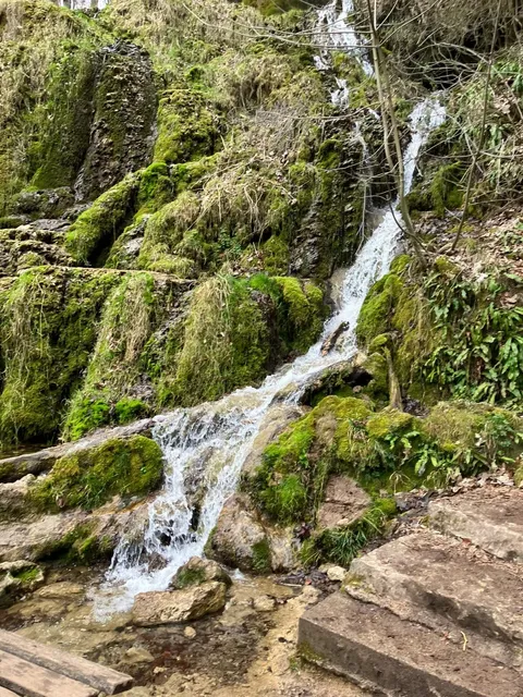 🇩🇪 Hidden Gem Near Stuttgart: Bad Urach Waterfall 📸📸