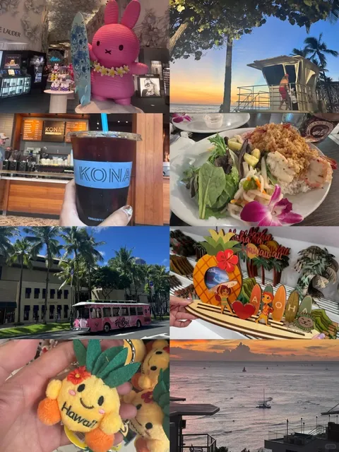  “I Cancelled My Plans for This View” 