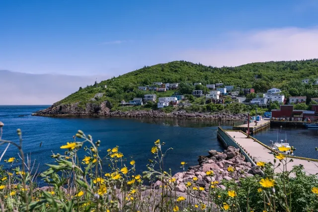 📸 Newfoundland Photography Guide: St. John's Best Shots
