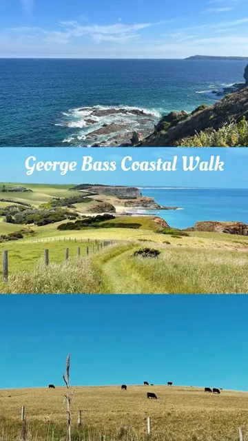 🥾 Best Hiking Trails in Melbourne | Weekend Getaways