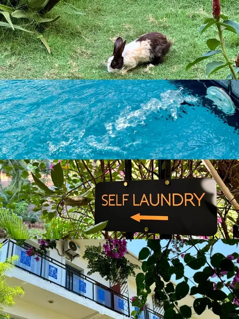 Your Perfect Landing Spot in Tanzania!