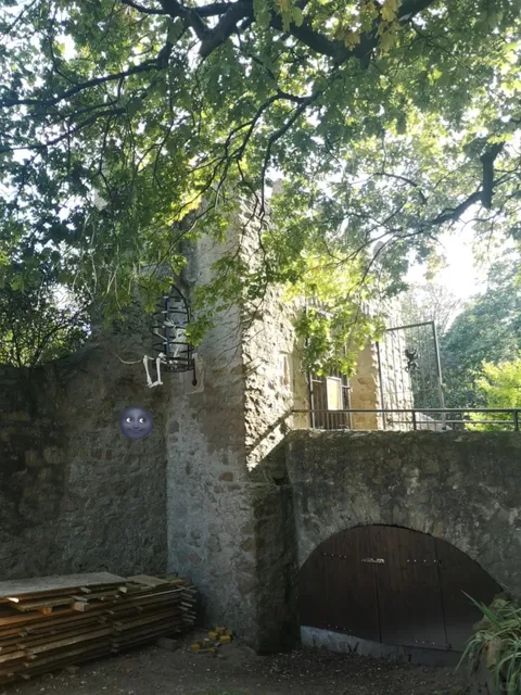  Weekend Getaway from Darmstadt🏰🍯 