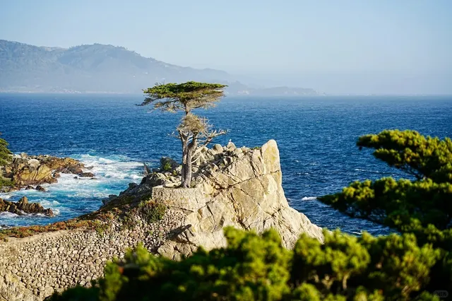 🌊 California Highway 1 Road Trip Guide｜2025 Must-See Stops