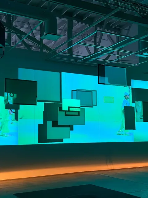 Los Angeles Exhibition 💚 Will Rawls: [siccer]  