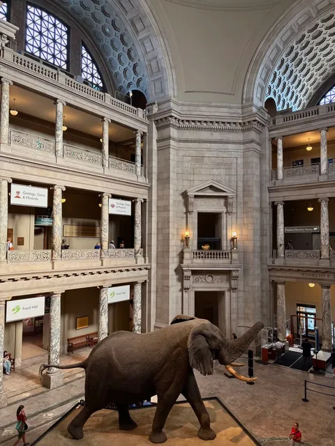 DC｜Night at the Museum Magic ✨