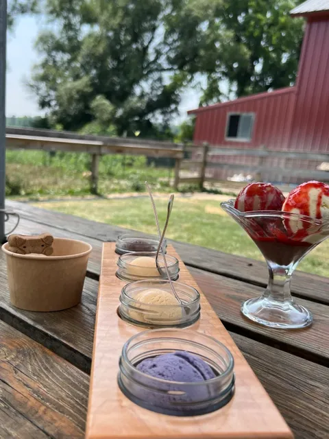 Playing with My Puppy in New York's Finger Lakes | 🍷 Wine Tasting