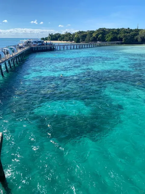 Cairns Travel Guide: Big Cat Green Island Dreamy Day Trip 🌊🐠