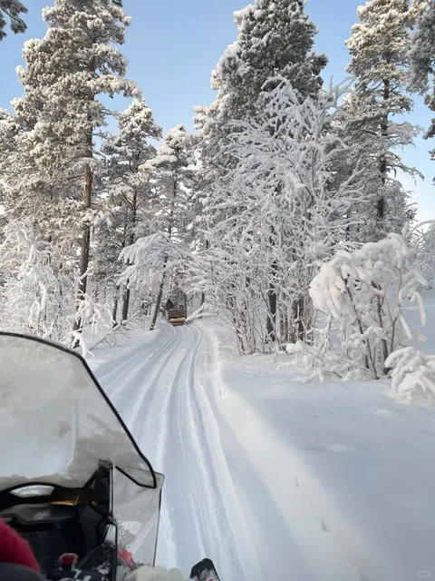 Sami Camp: Regret Going, Regret Missing It Too 😂