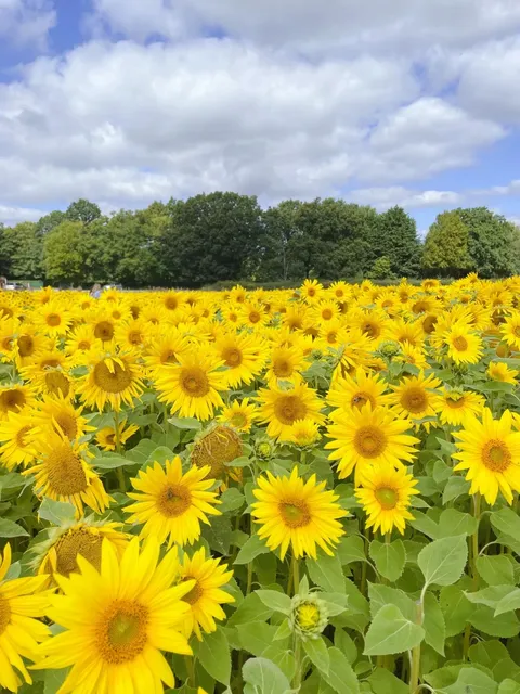 I could spend the whole day at this Birmingham farm!