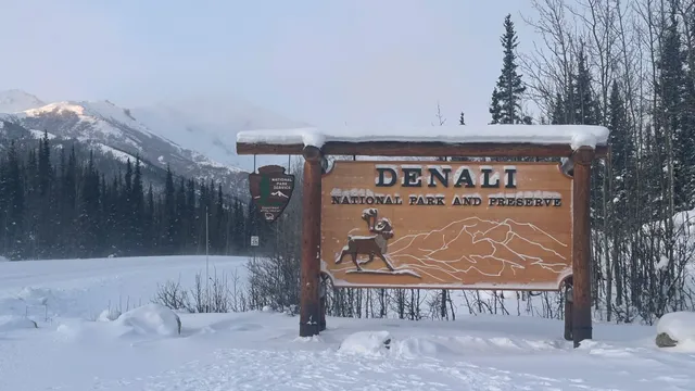 📍 Denali National Park & Preserve 