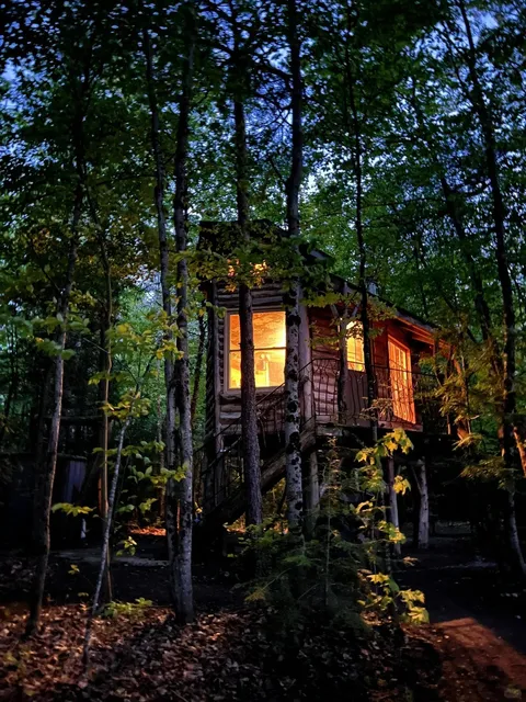 🇨🇦 Toronto's 1-Hour Fairy Tale Escape: Clarington Treehouse! 🌳✨