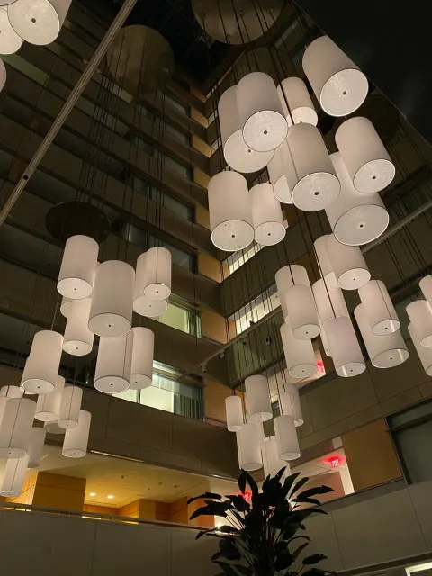 ADRIFT Mare Miami 🍽️🌊