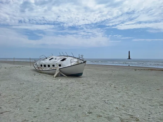We Found Enough to Build Our Own Shark! 🦈✨