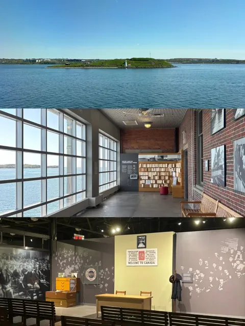 How Many New Lives Begin Here 🚢😢