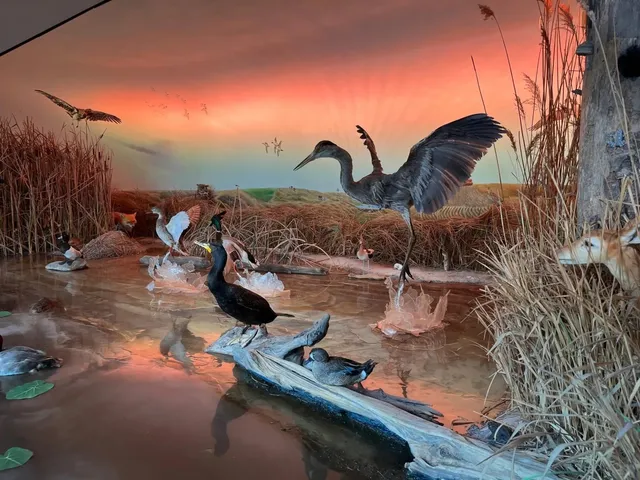 Oak Hammock Marsh Wetland Discovery Centre is Back with an Upgrade😍‼️