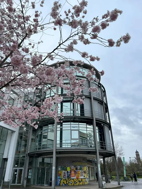 🇩🇪 Göttingen Travel Guide: Hidden Gems from a Local 🎓🌻