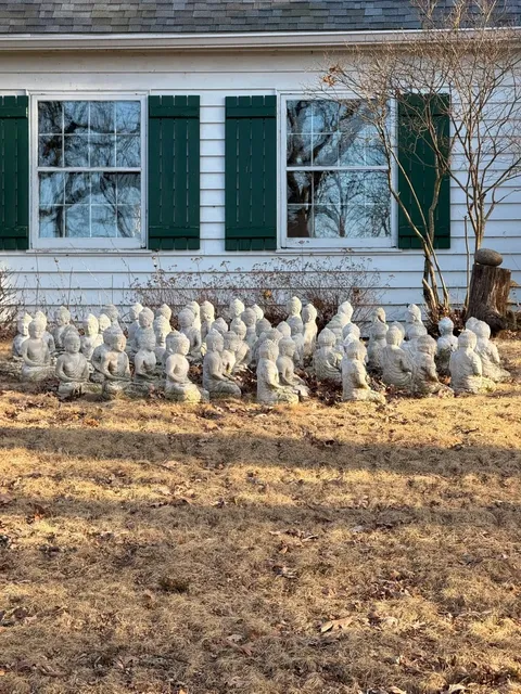 Madison｜Deer & Turkeys at the Arboretum! 🦌🦃