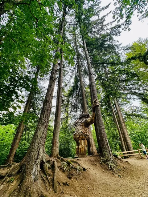 Jakob Two Trees: A Whimsical Giant Hike in Issaquah! 🌲🌳