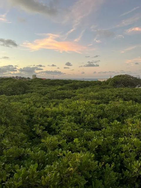  Natal: The City of Sun & Dunes 