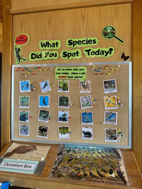 Beaver Creek Conservation Area – A Hidden Gem Near Saskatoon!