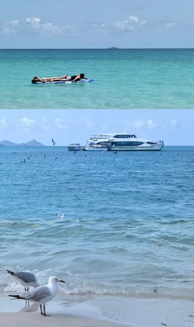 🇦🇺 Hamilton Island 4D3N Itinerary: A Slice of Paradise! ✈️🏝️