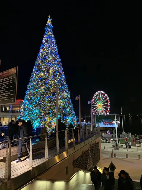 DMV | Where to go this Christmas | A romantic harbor not to be missed