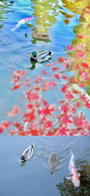 A Fun-Filled Long Beach Day Trip for All Ages!