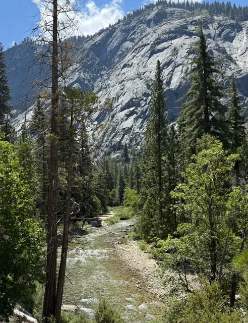 🌿 This Summer’s Coolest Hike! Kings Canyon National Park Escape 🌊