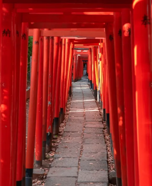 🤯 Who said Tokyo isn't interesting to explore?(1)